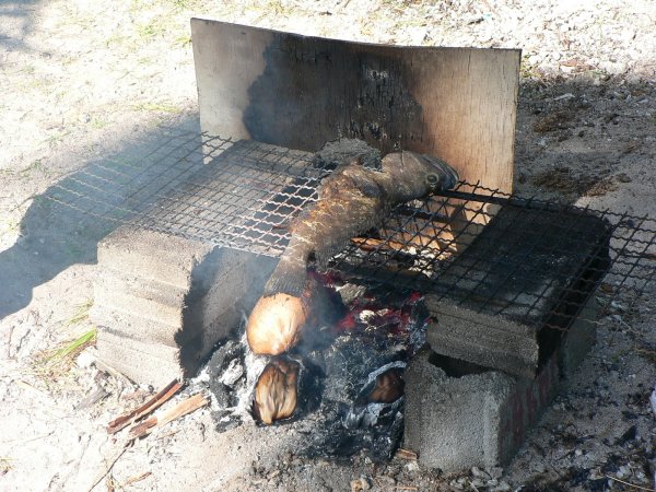 87- Un merou cuit au barbecue 